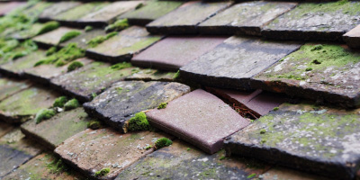 Chesham Bois roof repair costs